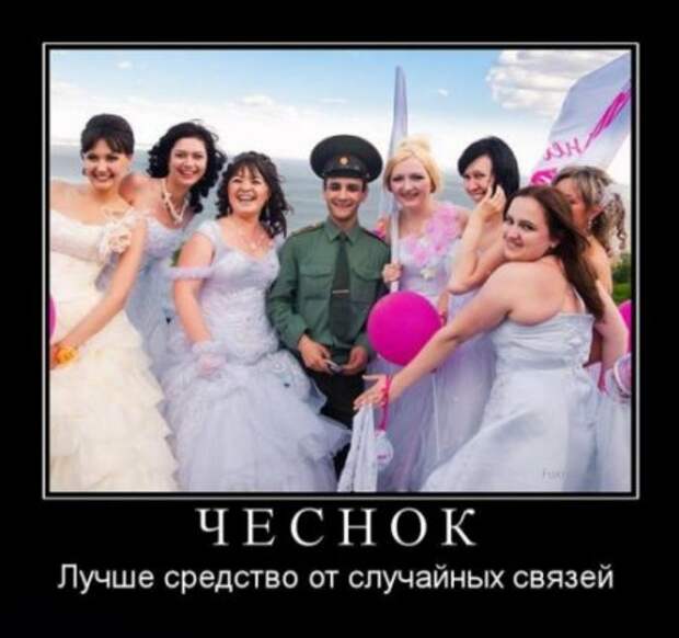 Демотиваторы это не только прикольные картинки но и ржачные фразы.