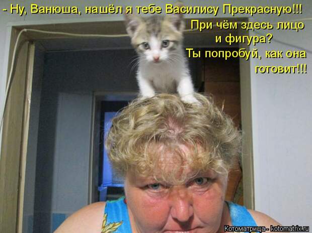 Котоматрица: - Ну, Ванюша, нашёл я тебе Василису Прекрасную!!! При чём здесь лицо  и фигура? Ты попробуй, как она готовит!!!