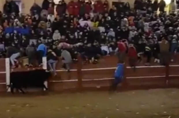 На фестивале в Испании разъяренный бык насмерть затоптал мужчину