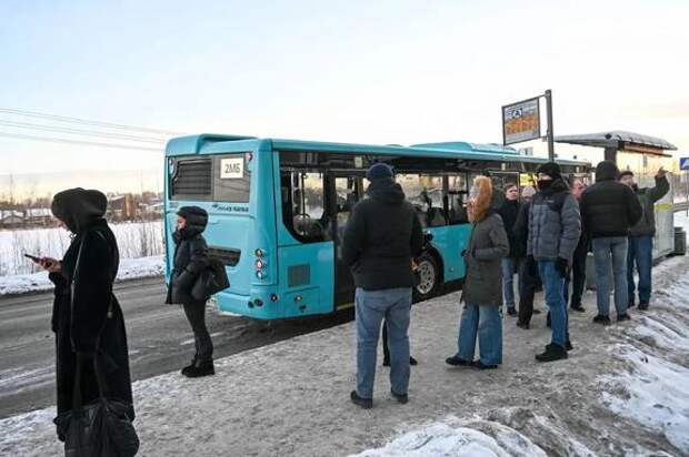 В Петербурге запустили автобусный маршрут для жителей жилого комплекса Parkolovo
