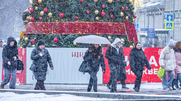На любителя: какая погода ждет жителей Москвы в новогоднюю ночь и утром 1 января