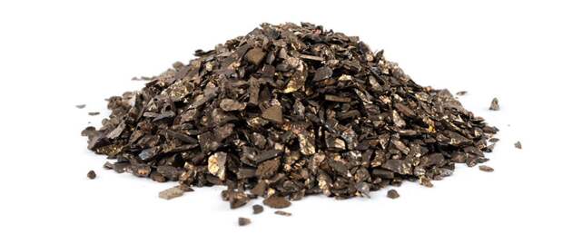 Ученые из США выдвинули новую версию происхождения жизни