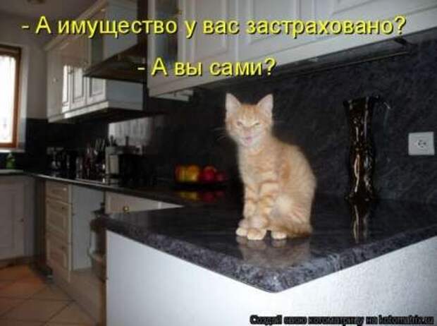 Прикольные животные, котоматрица