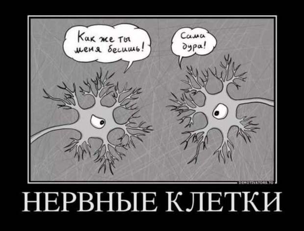 Демотиваторы про коронавирус с надписями. Подборка chert-poberi-dem-koronavirus-chert-poberi-dem-koronavirus-49310614122020-12 картинка chert-poberi-dem-koronavirus-49310614122020-12