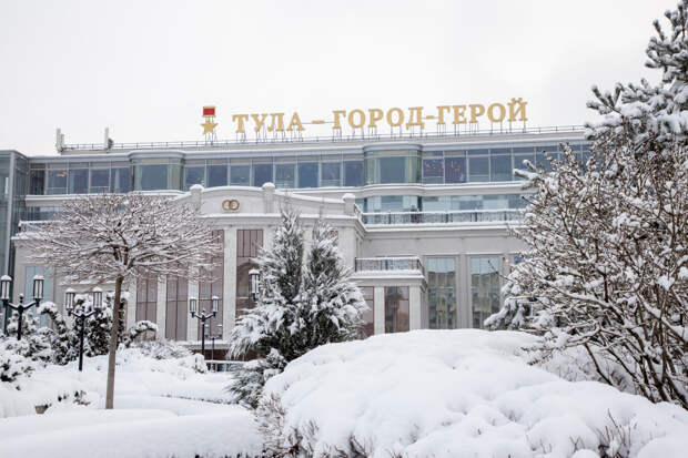 Снегопад и пасмурная погода ожидаются в Туле и области 14 января