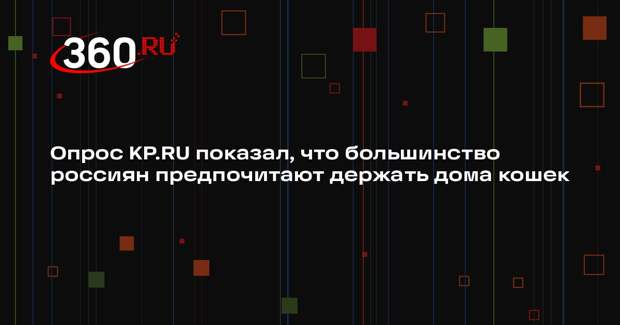 Опрос KP.RU показал, что большинство россиян предпочитают держать дома кошек