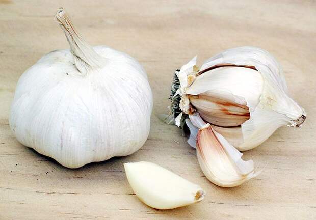 http://herbs.fotocrimea.com/fp-content/images/chesnok.jpg