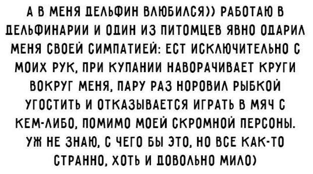 18 убойных приколов для хорошего настроения