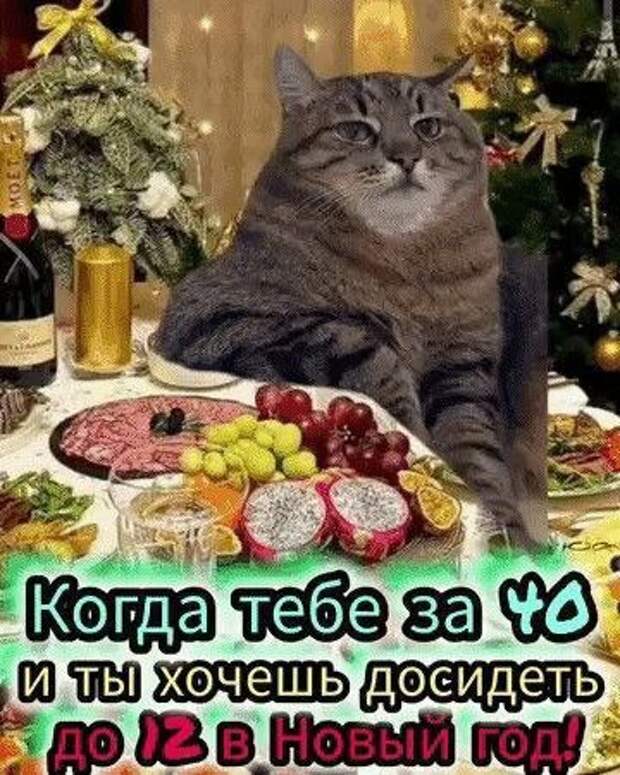 Донецкая группа новостей, Донецк ДНР