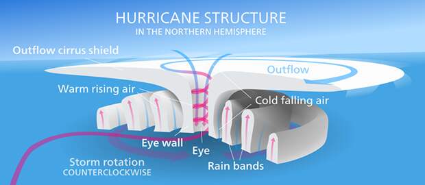 an illustration of the structure of a hurricane