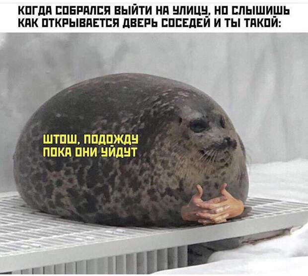 Подожду