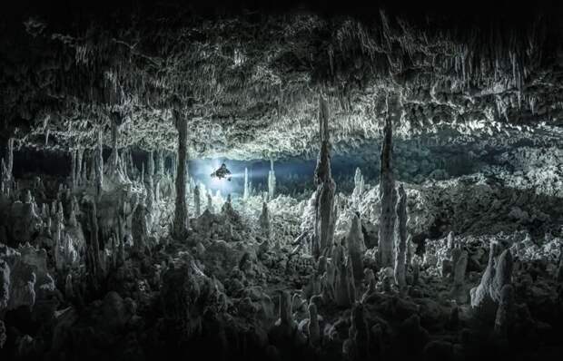 Подземная река в Мексике под названием Cenote Monkey Dust. Фотограф Martin Broen, США