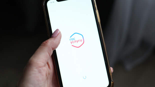 Уже в этом году: красивые номера могут разрешить покупать через Госуслуги