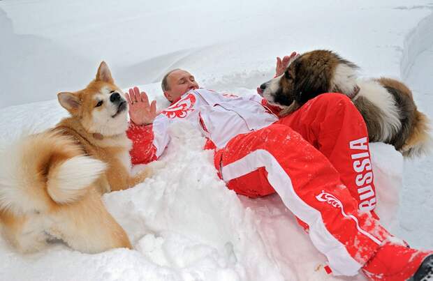 Владимир Путин и его собаки путин, собаки, фото.