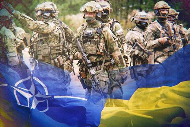 Украинцам посоветовали забыть о вступлении в Евросоюз и НАТО Украинцам посоветовали забыть о вступлении в Евросоюз и НАТО