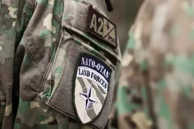 Попались, как крысы в ловушке: генерал и полковники НАТО в российском плену под Гуляйполем!