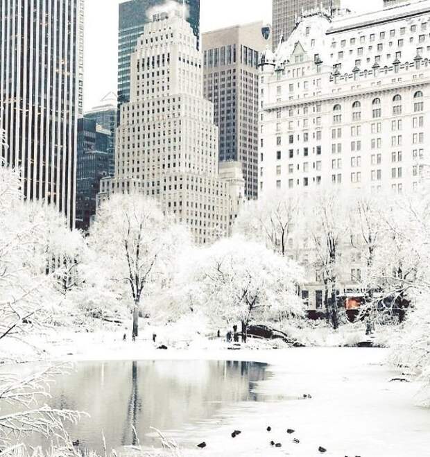 2. Заснеженный Нью-Йорк канада, мороз, погода, сша, фото, холод, явление