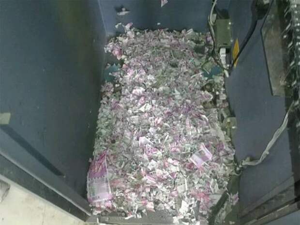 Крысы забрались в банкомат и за сутки сгрызли миллион рупий