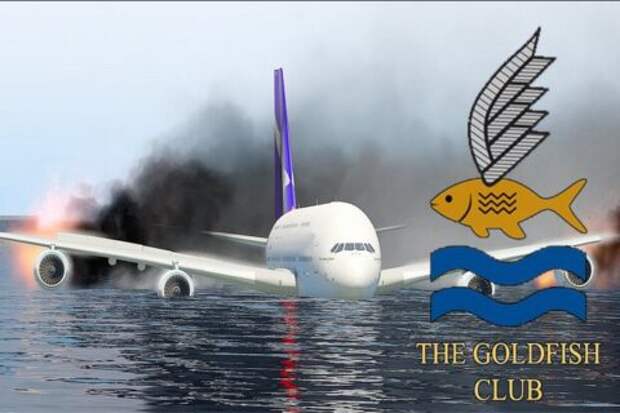 Плавают ли самолеты? “Клуб золотых рыбок”.