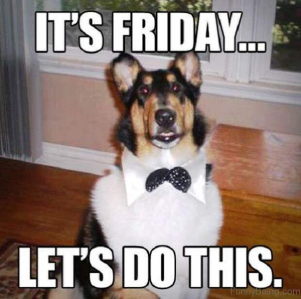 Friday memes