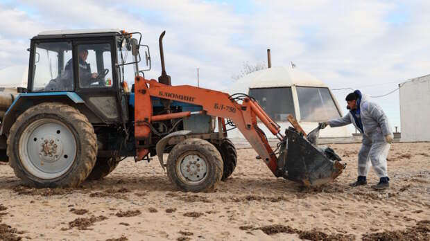 Биопрепарат помог обезвредить 100 тонн отходов с берегов Крыма после ЧП с танкерами