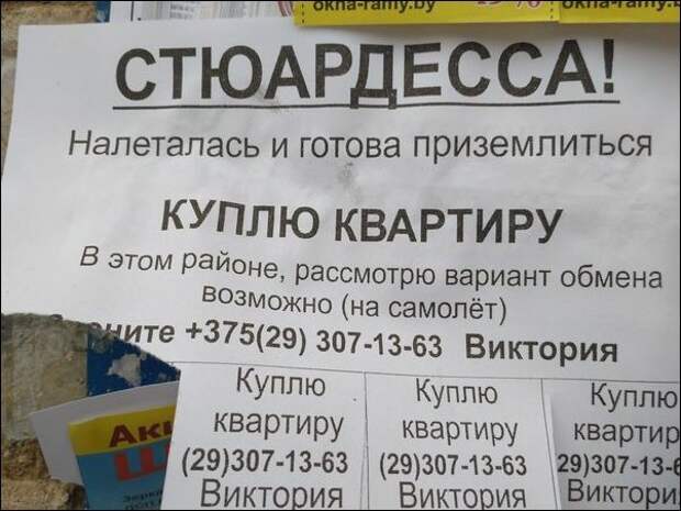 Прикольные надписи и объявления объявления, прикол, юмор