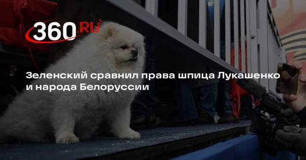 Зеленский: шпицу Лукашенко дали больше прав, чем белорусскому народу