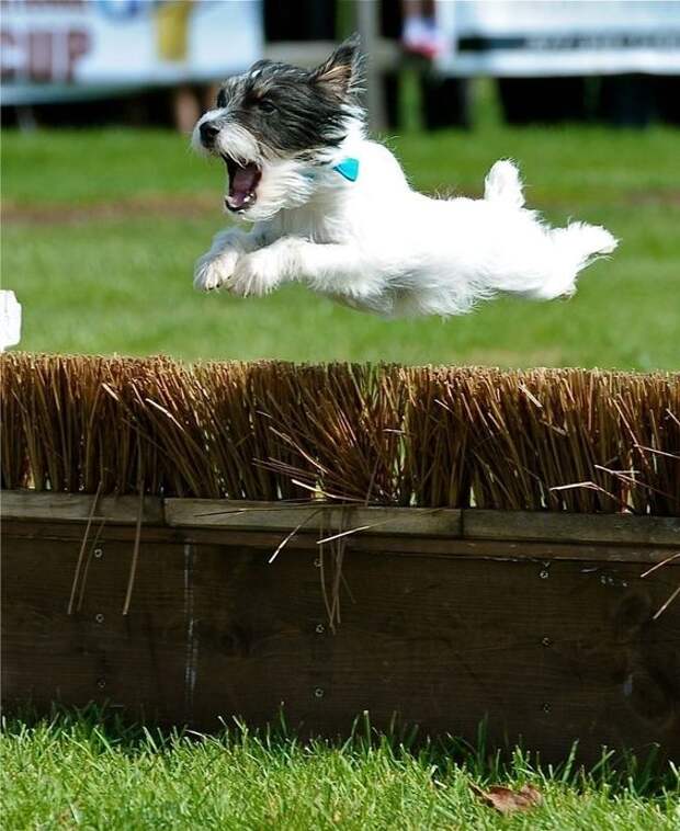 Yb98NfK2F48 (564x690, 220Kb)