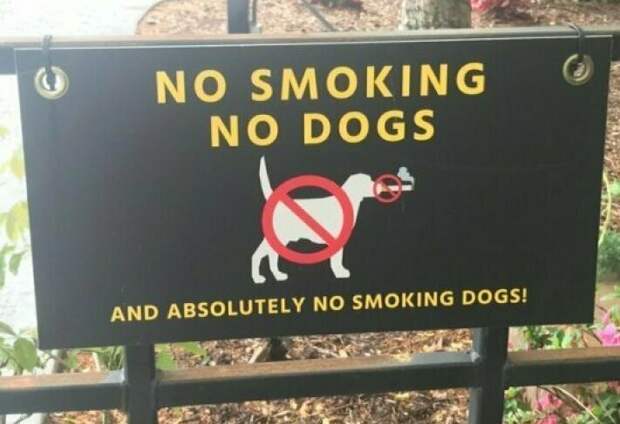 Где аналогичная табличка для курящих котов? запрет, запреты, знаки, подборка, прикол, юмор