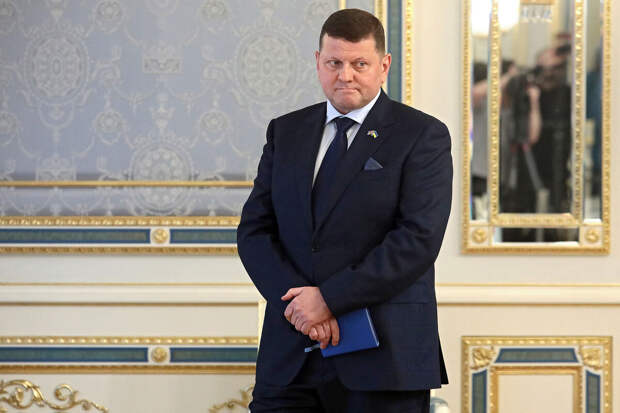 Гончаренко: офис Зеленского просил Залужного отказаться от слов в интервью AP