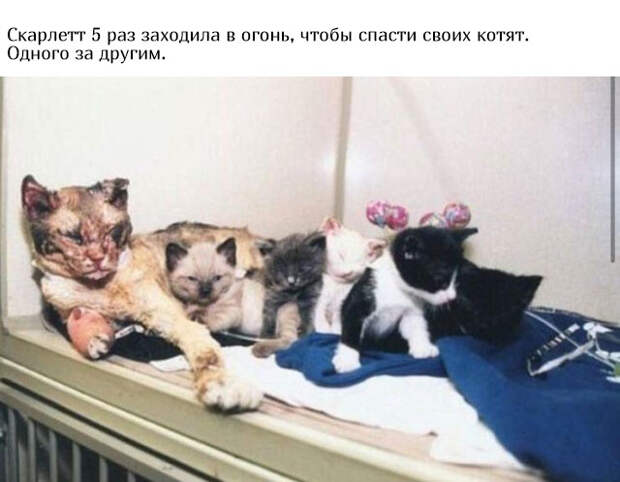 www.vsyako.net