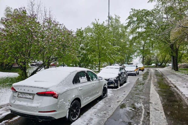 Минусовая температура вернется в Москву