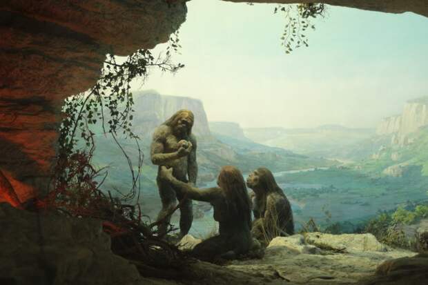 Древнейшую сшитую одежду из лосиной шкуры нашли в Орегоне