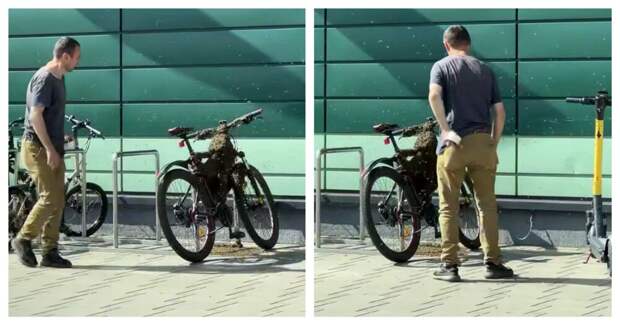 Рой пчёл «оккупировал» велосипед