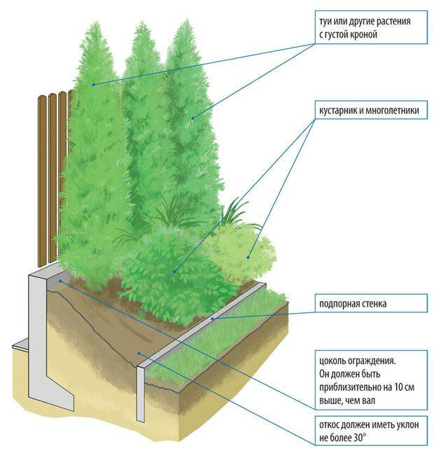 Живая изгородь - защита от шума и выхлопных газов