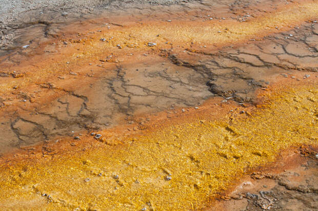 Йеллоустоун (Yellowstone)