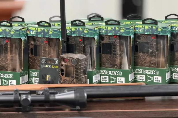 В Тамбовской области зимой животным выложили почти 64 тонны зерна и 2,6 тонны соли