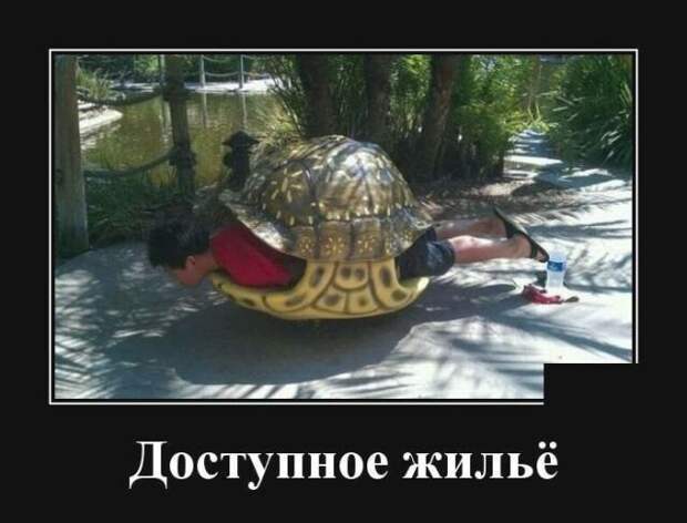 Демотиваторы демотиватор, демотиваторы, юмор