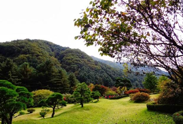 Сад утреннего спокойствия: рай для туристов