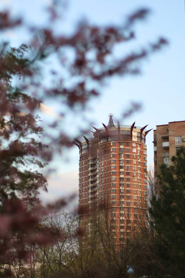 Розовый Донецк