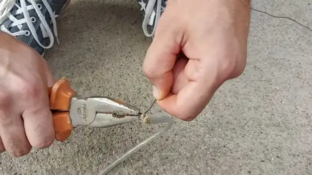 Простейший бутылочный капельный полив. Сделайте такой перед отпуском, и цветы будут политы