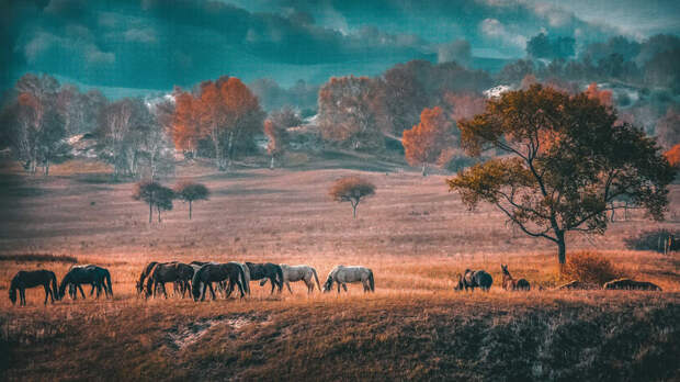 living in harmony by andycheung  on 500px.com