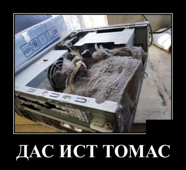 demotivatory-demotivator-smeshnye-demotivatory-demotivator-so-smyslom