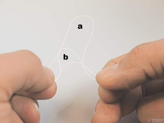 Пропустите одинарную петлю лески (а) через просвет (b) между витками скрученной лески.