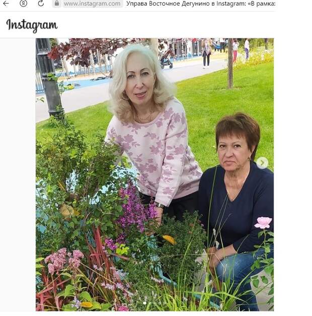 Садоводы из Восточного Дегунина заняли третье место на конкурсе цветников