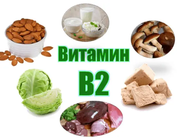 Продукты с витамином в 2. Витамин b2 продукты таблица. Витамин б2 продукты содержащие витамин. Витамин в2 в каких продуктах. Витамины группы б2 продукты.