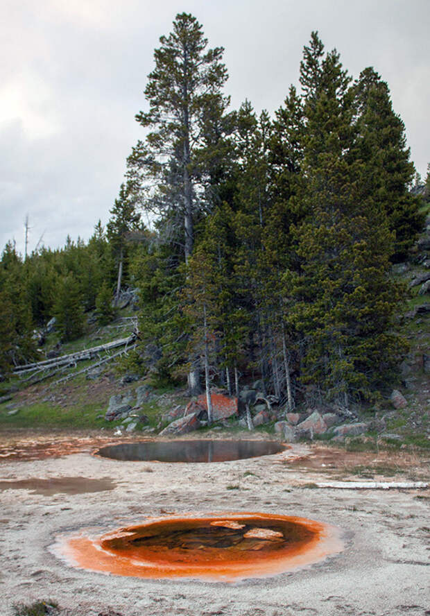 Йеллоустоун (Yellowstone)
