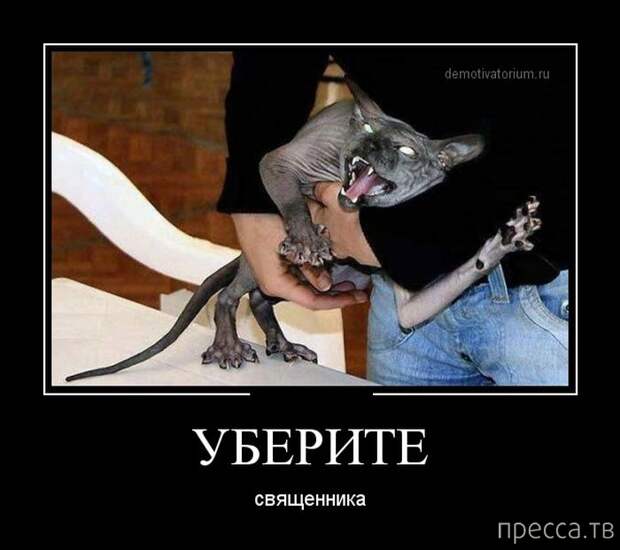 Самые злобные демотиваторы, часть 153 (31 фото)