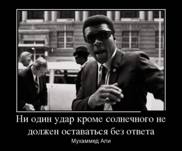 Демотиваторы 19.11.13