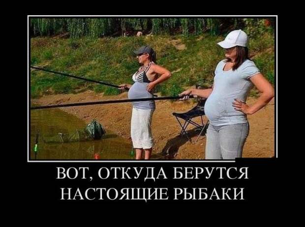 Демотиваторы (30 фото)